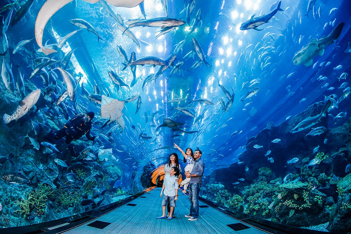 Family Oasis Tour Package 