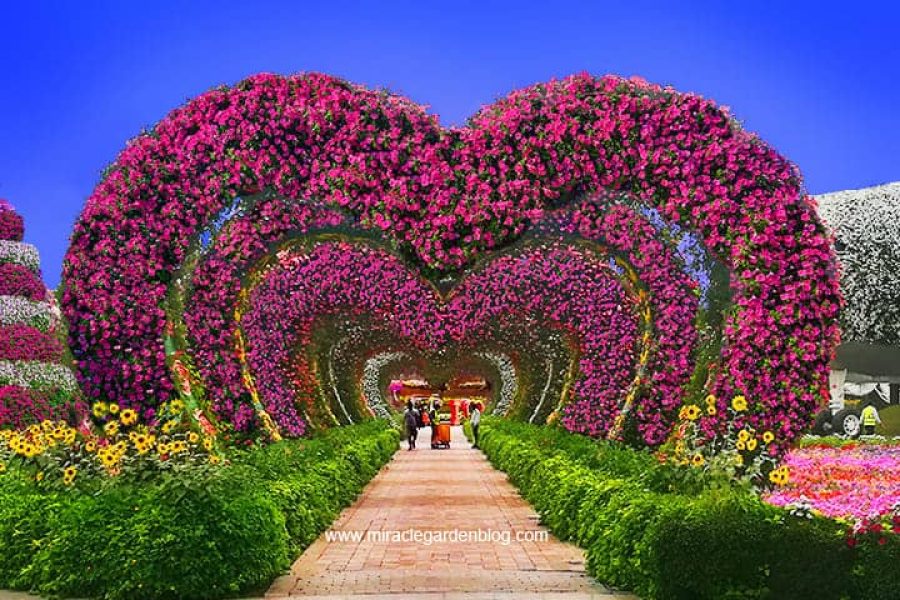 7 Nights 8 Days Dubai Honeymoon Package  Romantic Getaway for Couples
